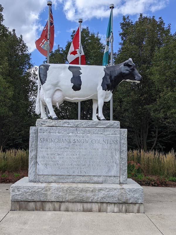 Springbank Snow Countess Cow Monument - Image 1