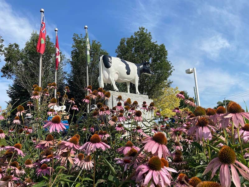 Springbank Snow Countess Cow Monument - Image 2
