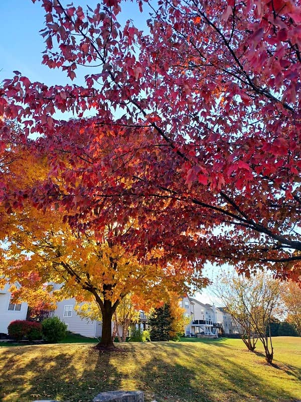 Whispering Woods Park - Image 1