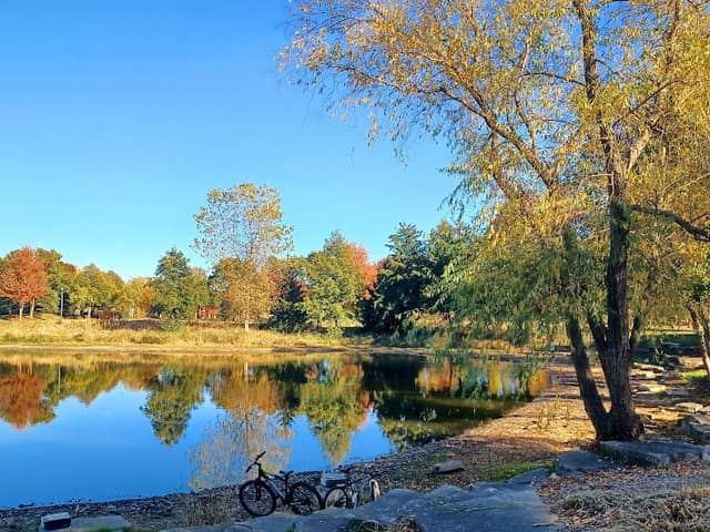 Whispering Woods Park - Image 2