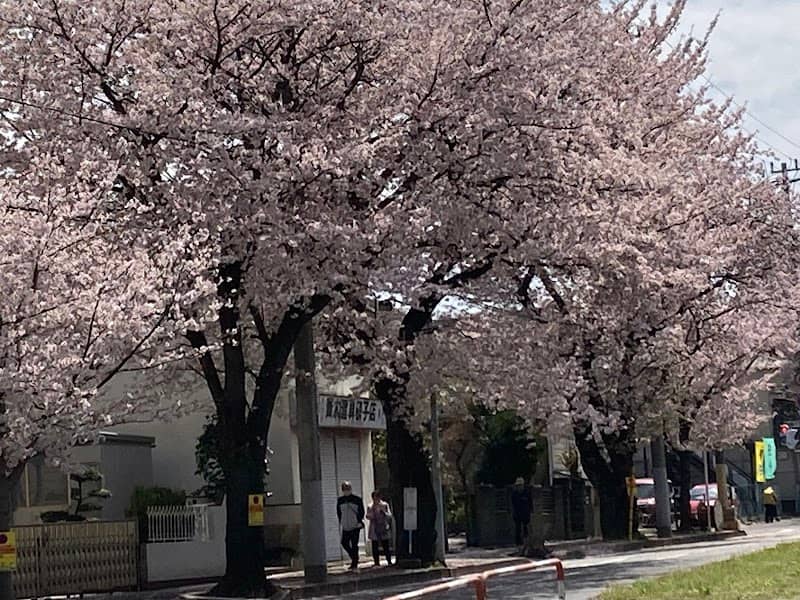 Mutsumi Central Park - Image 2