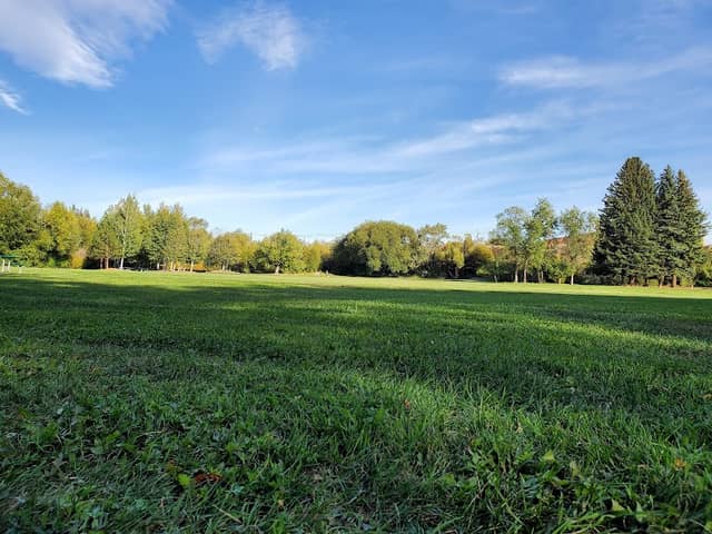 McElroy Park - Image 1