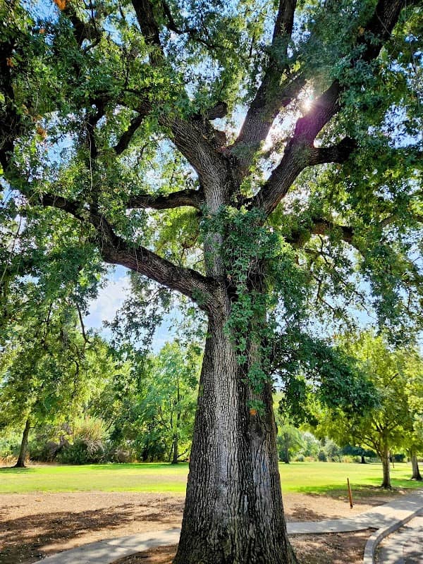 Humboldt Park/Windchime Park - Image 2