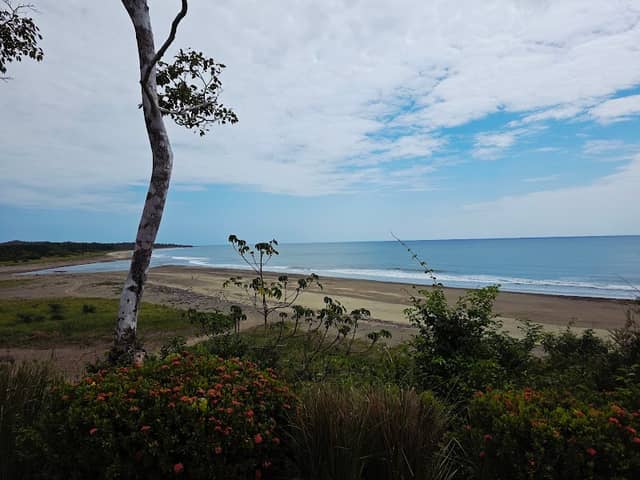 Playa Pedasí - Image 1
