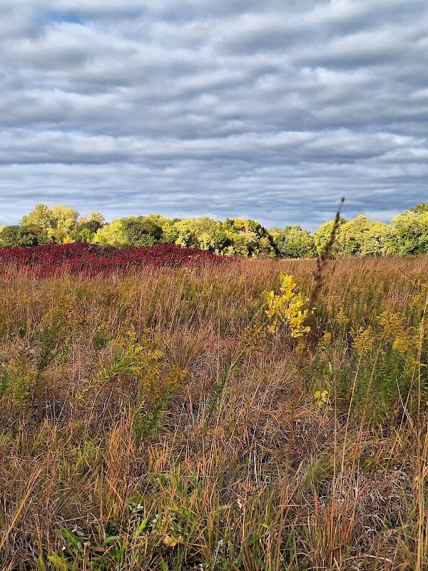 Weaver Park - Image 1