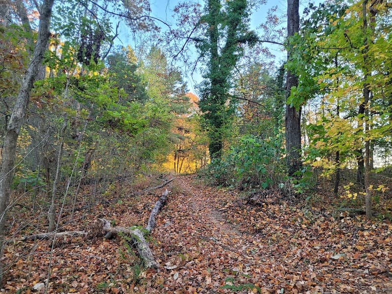 Harrisburg Park mountain bike trail - Image 2