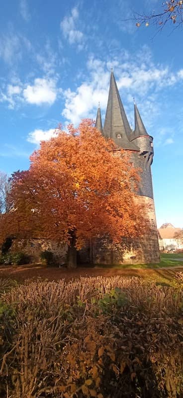 Bürger Park - Image 1