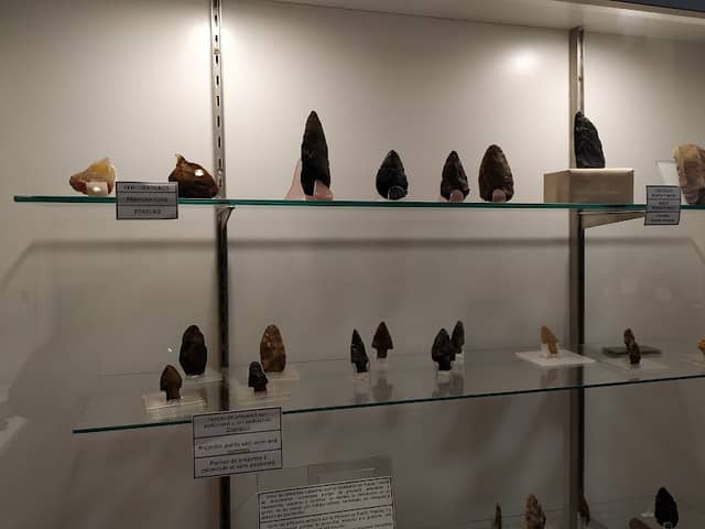 Museum of Anthropology and Natural Sciences - Image 1