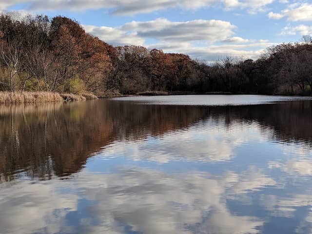 Horseshoe Park - Image 1