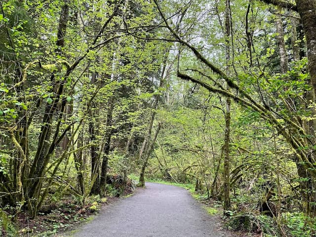 Serpentine Hollow - Image 2