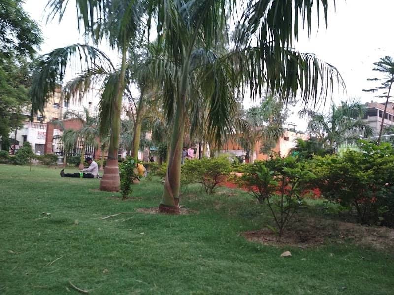 Sachiwalya Colony Park - Image 2