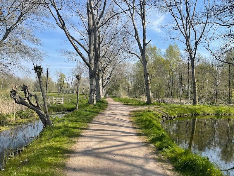 De IJsbaan - Image 1