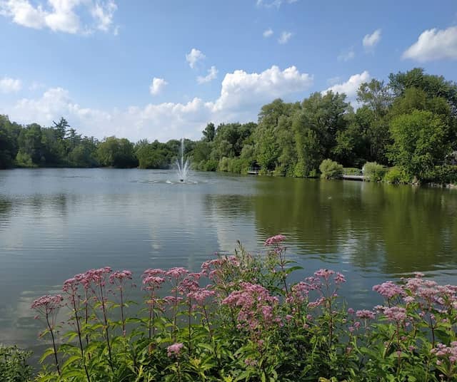 Mill Pond Park - Image 1