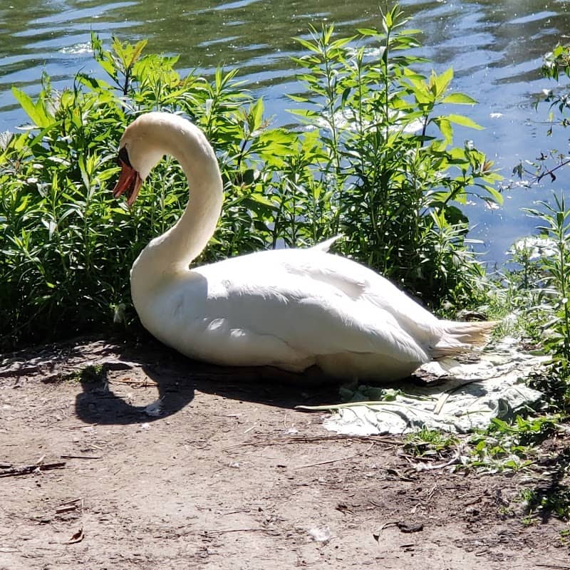 Mill Pond Park - Image 2