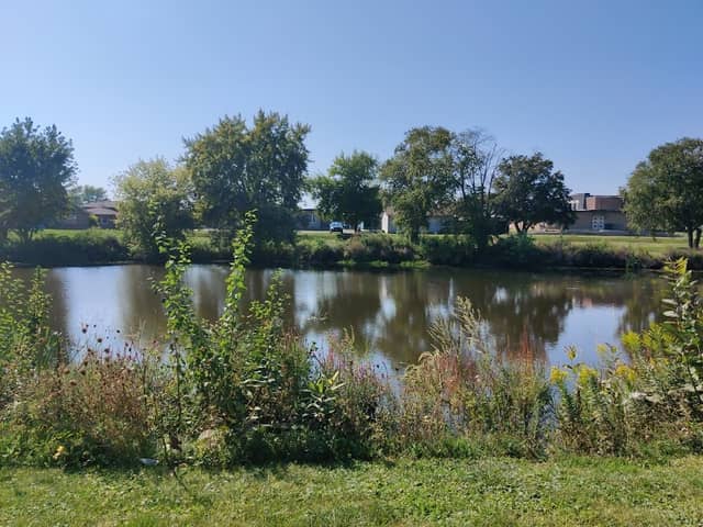 Bicentennial Park Scenic Natural Wetland Areas - Image 2