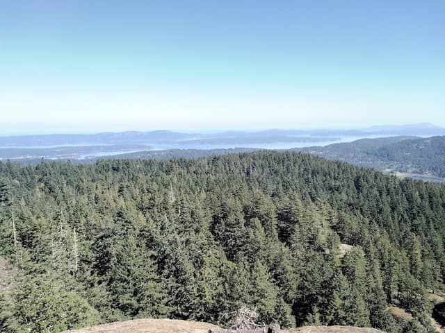 Mt. Maxwell Lookout Trail #4 - Image 2