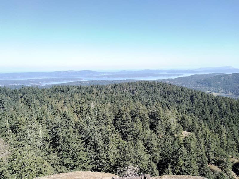 Mt. Maxwell Lookout Trail #4 - Image 2