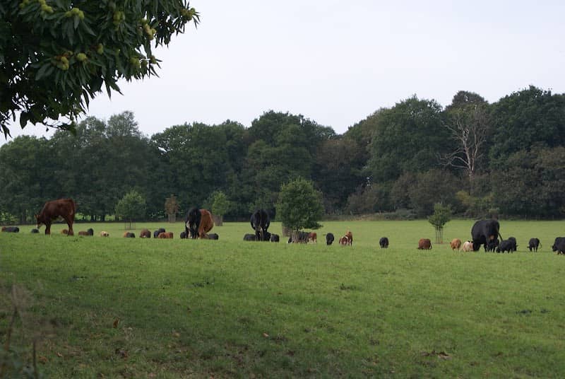 Obelisk Park - Image 1