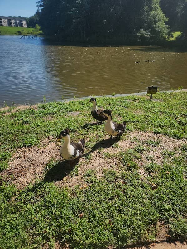 Century Lake Park - Image 3