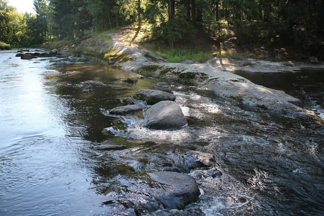 Matarinpuisto - Image 2