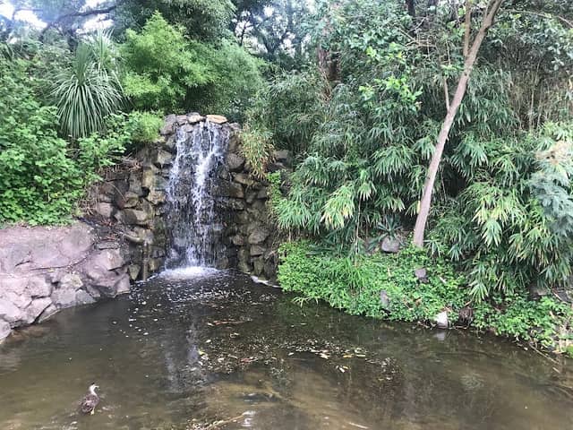 Hedgeley Dene Gardens - Image 1