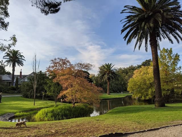 Hedgeley Dene Gardens - Image 3