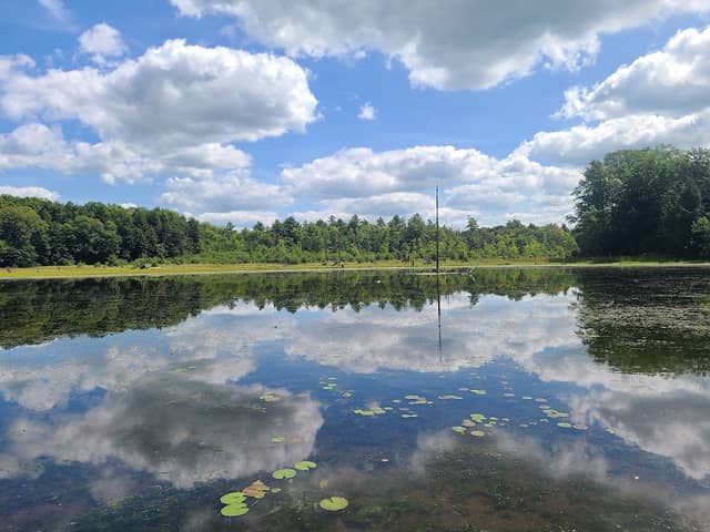 Trillium Nature Center / Buffalo Audubon Society - Image 2