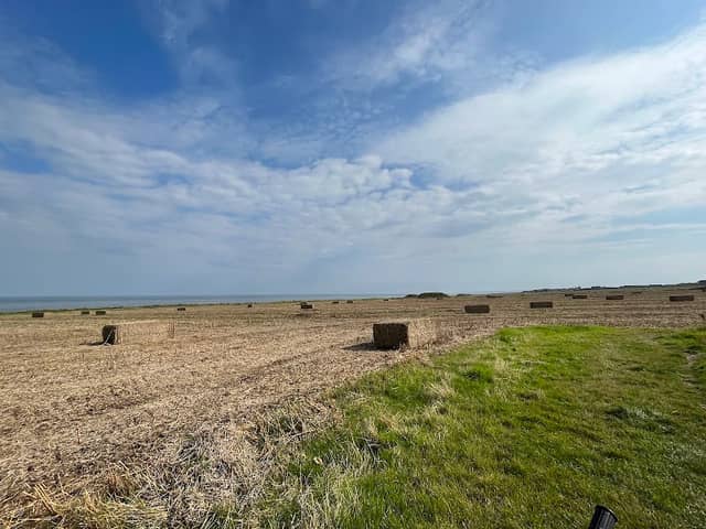 Whitburn Nature Reserve Bird Hide - Image 1