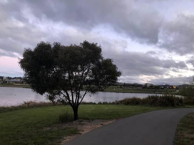 Holden’s Pond - Image 2