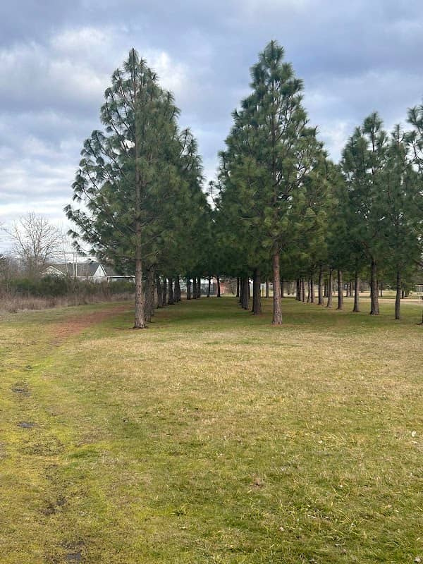 Ivor Davies Park (north entrance) - Image 1