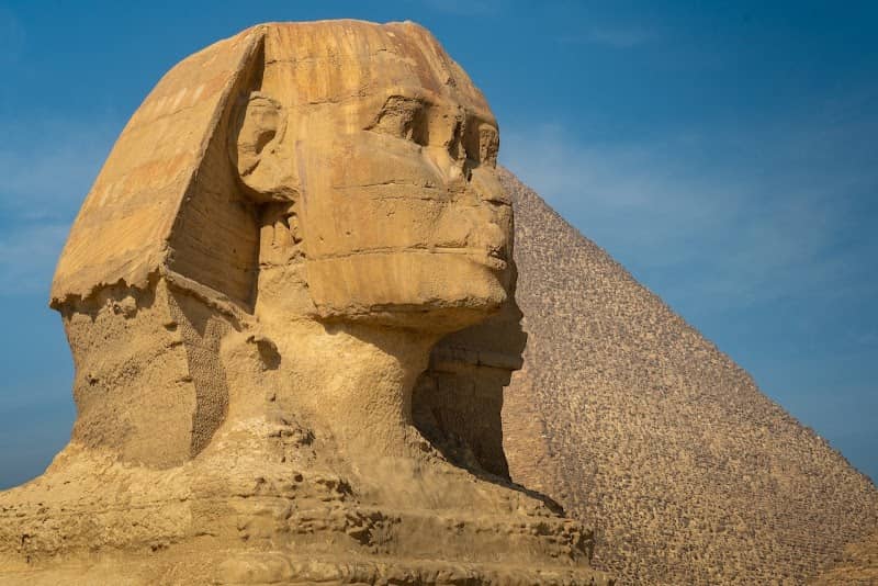 مربط الفرس - Image 2