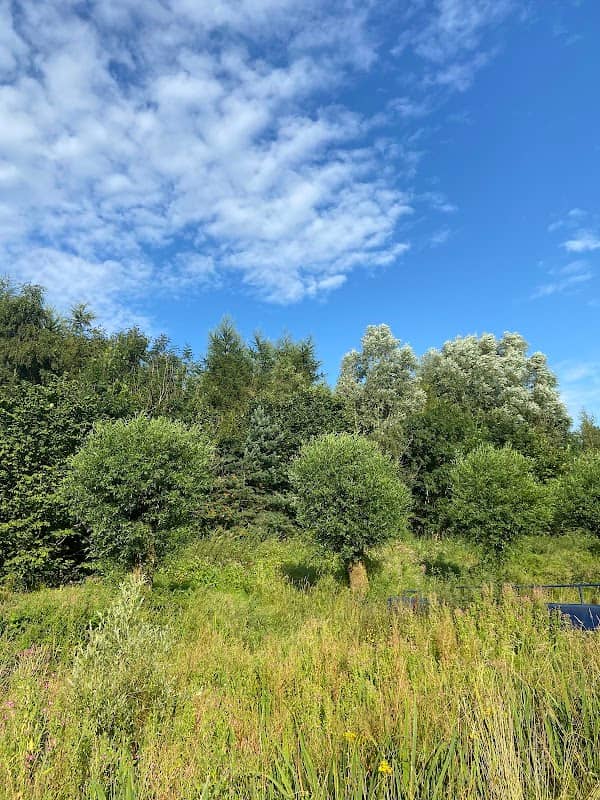 Ashtons Field - Image 1