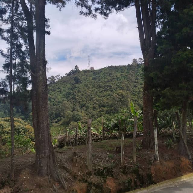 Cruz el mirador del manzanillo. - Image 2