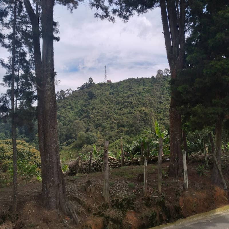 Cruz el mirador del manzanillo. - Image 2