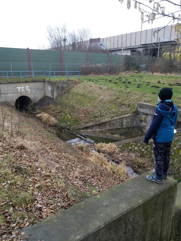 Der Tunnel - Image 1