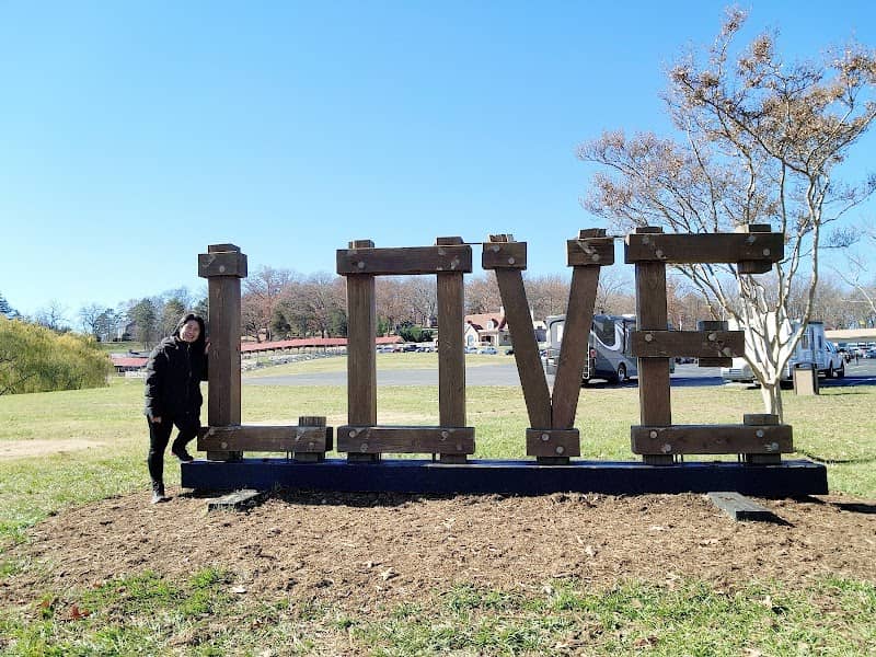 Virginia is for Lovers LOVEwork - Image 1