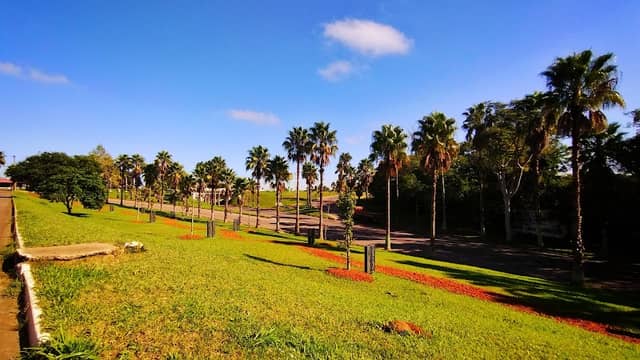 Bosque da Prosperidade - Image 1