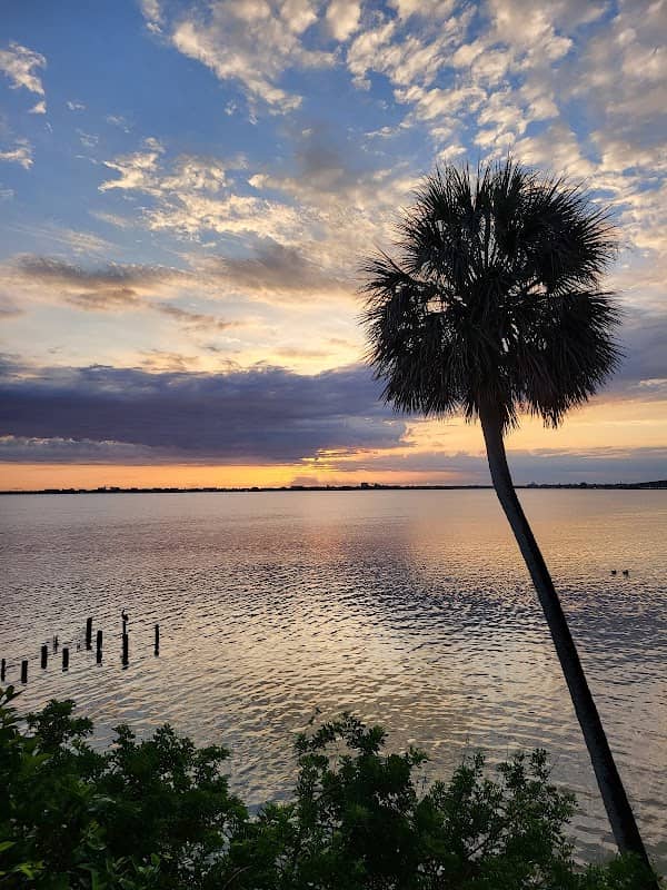 Banana River - Image 1
