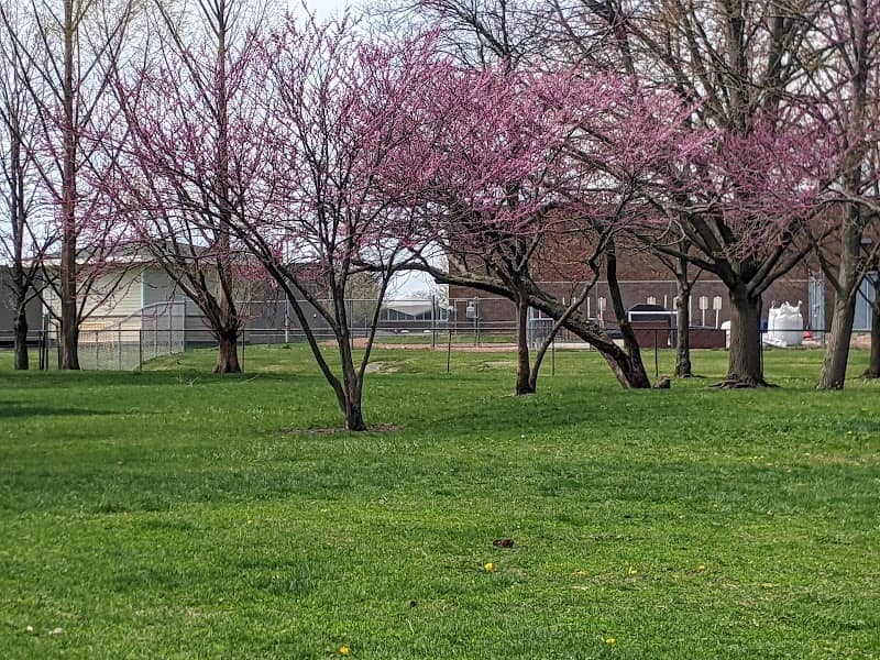 Tamarack Park - Image 2
