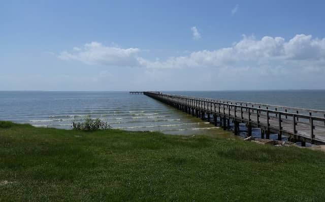Pine Gully Park - Image 1