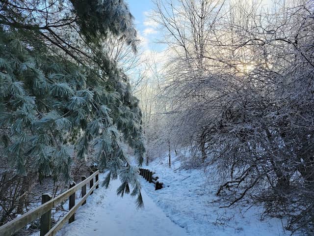 Trans-Richmond Trail Viewpoint Area - Image 2