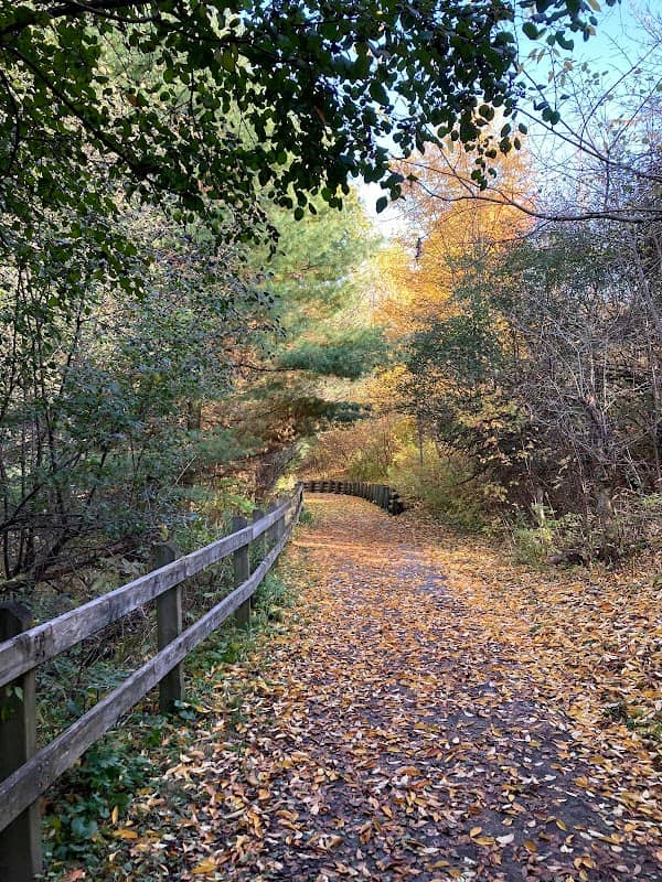 Trans-Richmond Trail Viewpoint Area - Image 1