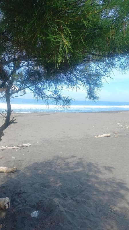 Pantai congot - Image 1