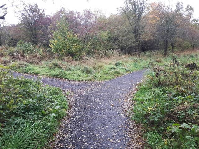 Boghead Wood - Image 1