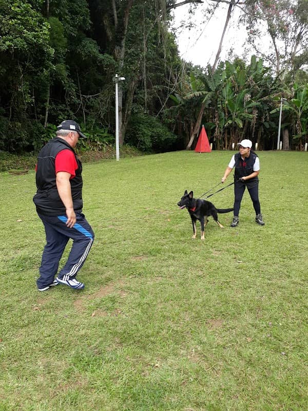 IPO Valley Dog Center - Image 1