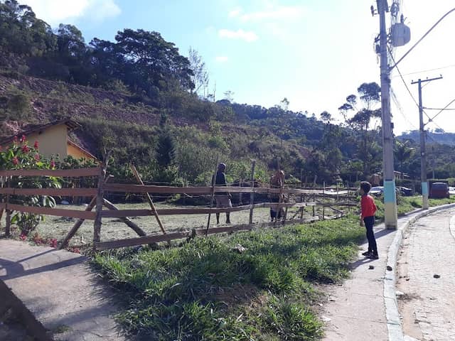 IPO Valley Dog Center - Image 2