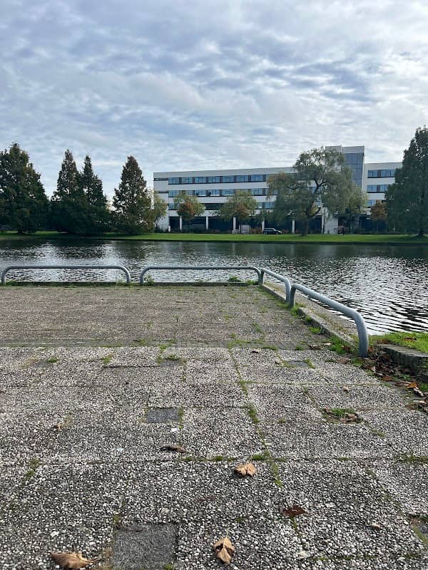het water - Image 3