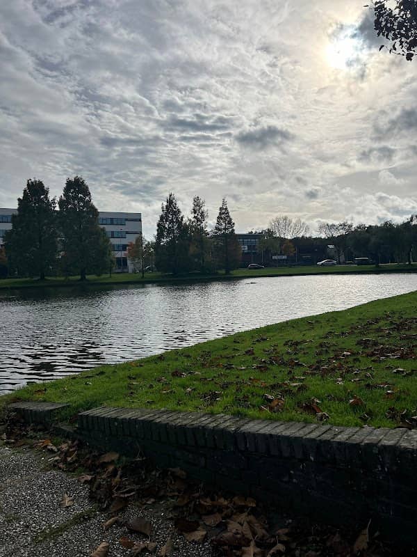 het water - Image 1