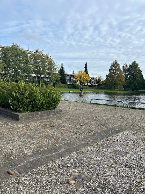 het water - Image 2