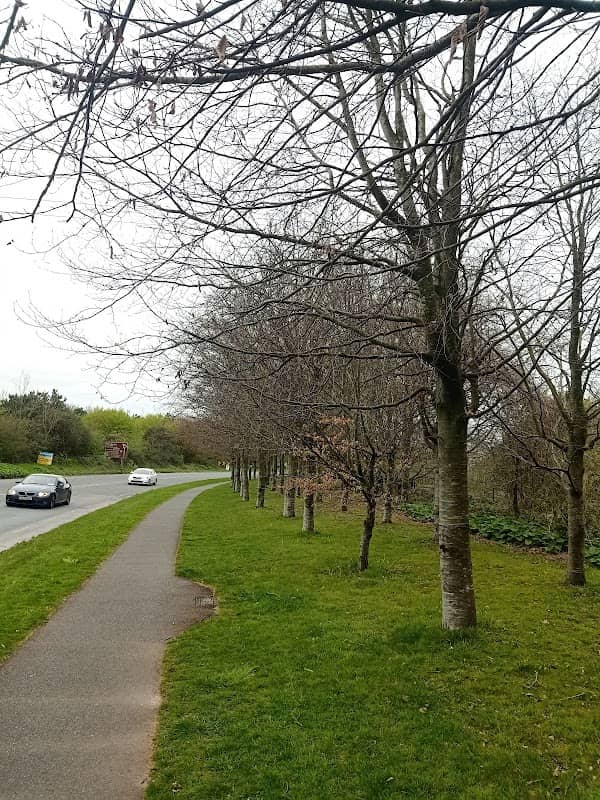 Tullagreen Community Walkway - Image 2